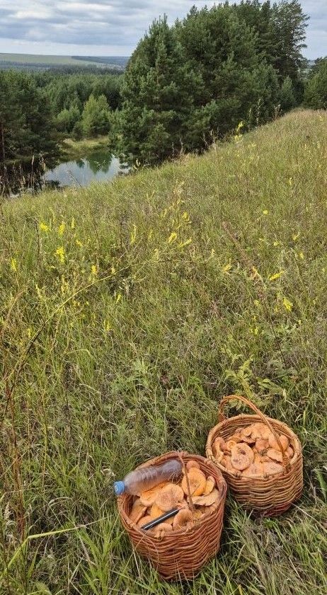 Колышчы авылыннан Валентина Максимовадан көзге матур фотолар