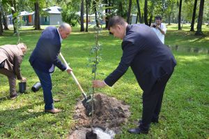 15 миләшле «Айбагыр» аллеясе барлыкка килде