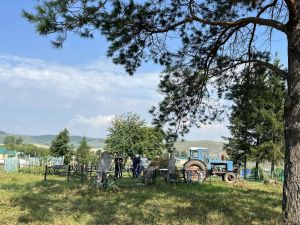 Әхмәт авылында зиратны тәртипкә китерделәр: бердәмлектә – көч!