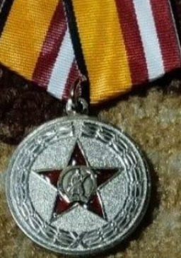 Ватаныбыз сагына баскан Түбән Биш егетләре медальләргә лаек булды