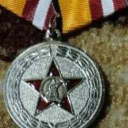 Ватаныбыз сагына баскан Түбән Биш егетләре медальләргә лаек булды