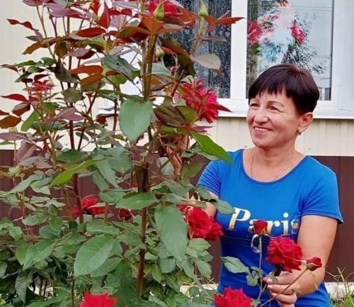 Чәчәкләр үстереп, гөлләр кебек яшәүче уңган-булган карендәшләр - фотолар