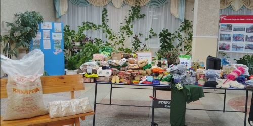 Дүсмәт авылы халкы махсус хәрби операциядәгеләргә чираттагы гуманитар ярдәм җибәрде