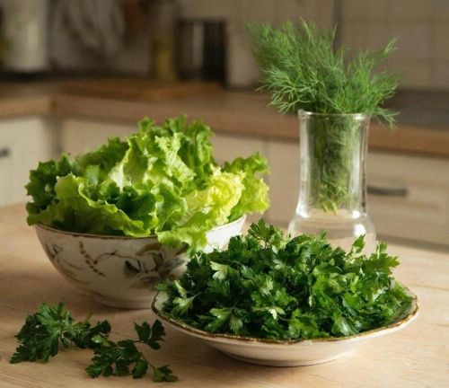 Хуҗабикәләргә киңәшләр: салат яфракларын тозлы суда юсаң әйбәтрәк