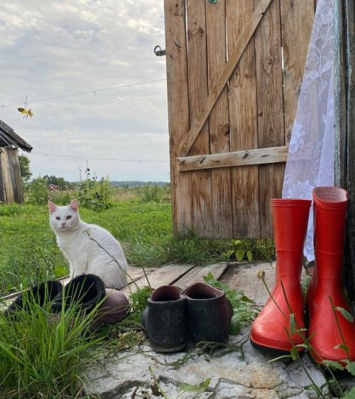 Уены-чыны бергә: ялкаулыкка әле бирешмәм