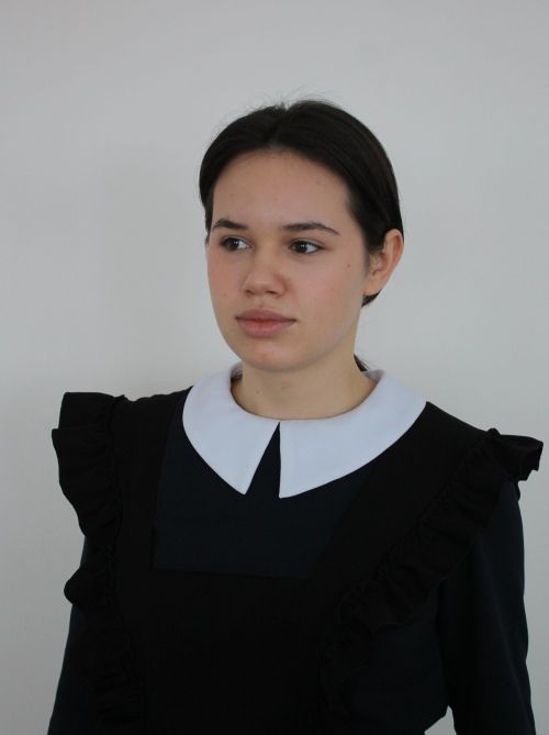 Мамадыш районыннан бертуган Аксаковлар — ыру горурлыгы