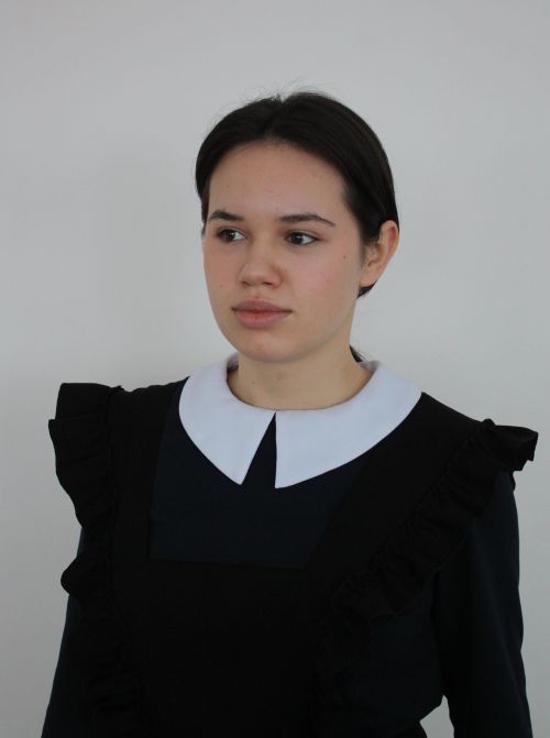 Мамадыш районыннан бертуган Аксаковлар — ыру горурлыгы