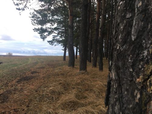 Лариса Әхмәтшина: «Керәшенчә марафон җыр язарга этәргеч бирде»