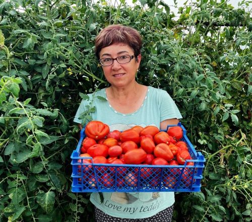 Людмила Барсуковадан кышка тәмле помидор рецепты