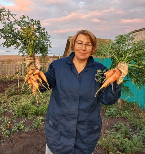 Роза Маракина: “Ике тапкыр кырау сукса да, уңыш сөендерерлек булды”