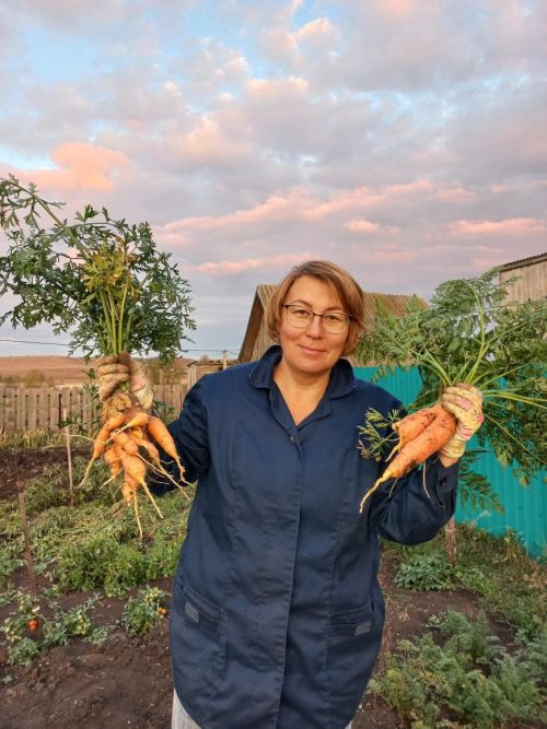 Роза Маракина: “Ике тапкыр кырау сукса да, уңыш сөендерерлек булды”