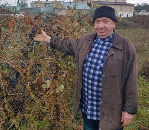 Иван Телешев: Кояшлы, җиләс урын кирәк аңа, күләгәне бер дә сөйми!