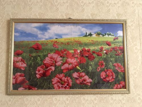 Урманчы кызы Анна