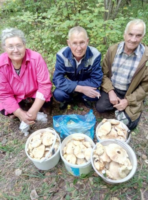Урманчы кызы Анна
