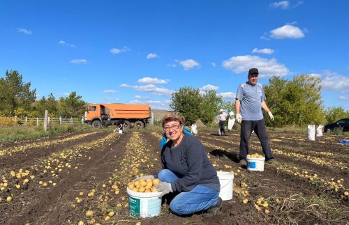 «Минем көзге уңыш» конкурсына Людмила Барсуковадан мул бәрәңге уңышы