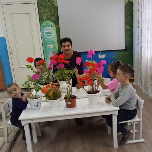 Үрәсбаш балалар бакчасындагы табигать почмагы чәчәкләргә бик бай