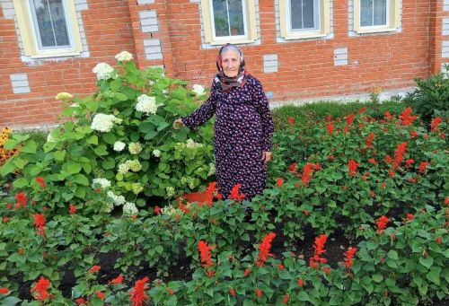 Албайдан Ольга Никифорова шигырьләре