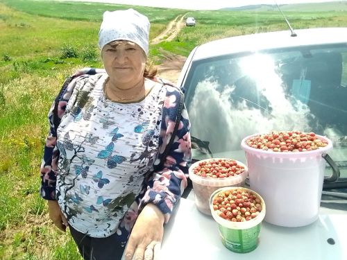 Әлмәт ягында яшәүче Роза Брицовадан дурычмак рецепты