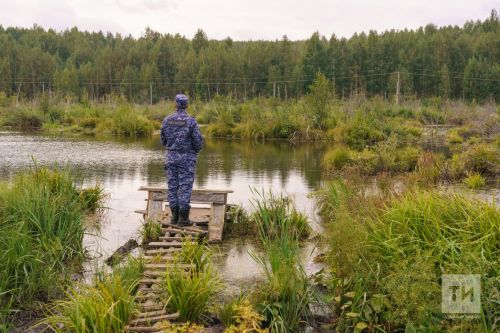 «Ау турында» Федераль законга үзгәрешләр кертелә