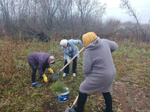 Керәшен Сәрдәсенең балалар мәйданчыгы янында яшь агачлар утырттылар