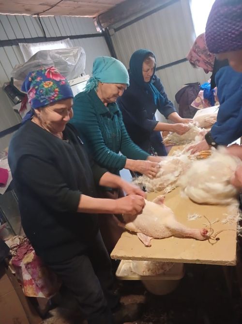 Хуҗа Хәсәндә каз-үрдәк өмәләре башланды