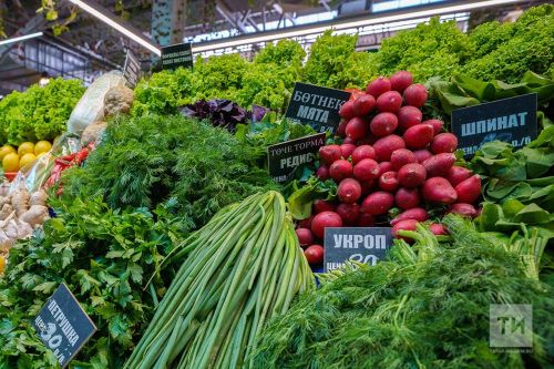 Тәмләткечләрнең файдасы: аппетитыгыз булмаса, кинза ашагыз