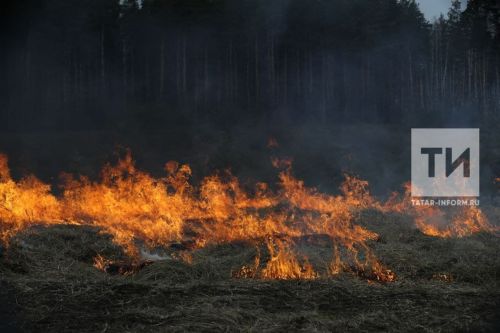 Урманнарда янгын куркынычы югары булу сәбәпле шторм кисәтүе игълан ителде