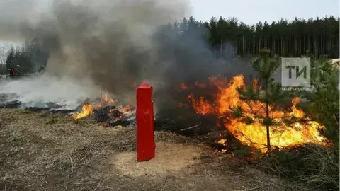 Урман хуҗалыгы министрлыгында учак ягуны һәм чүп яндыру тыюлуы хакында сөйләделәр