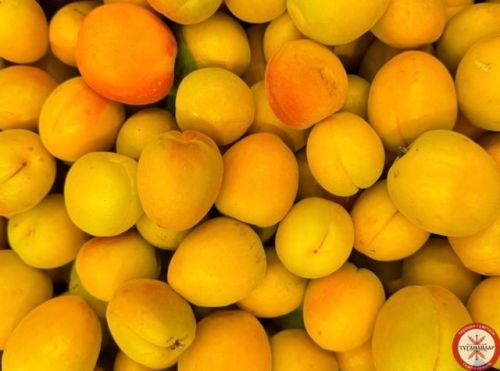 Абрикосның файдасы
