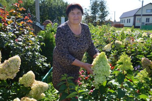 Пчеловодтан Димитриевлар «Төзекләндерү һәм яшелләндерү буенча иң яхшы шәхси хуҗалык» номинациясендә җиңүче булды