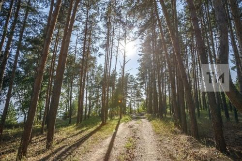 Янгын куркынычы югары булганлыктан кисәтү игълан ителде