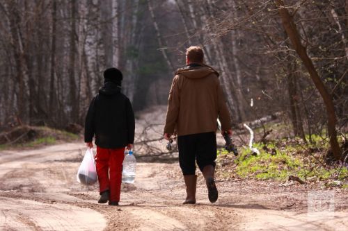 Татарстанда талпан кадалуның беренче җиде очрагы теркәлгән