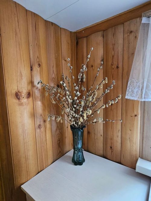 Иске Мәлкәннән Борис Акимовның курчак кебек өе - фото