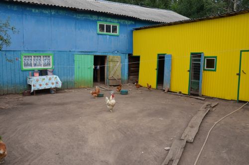 Балтач районының Дорга авылыннан фоторепортаж