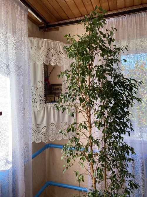 Балык Бистәсенең Керәшен Казысы авылыннан фоторепортаж