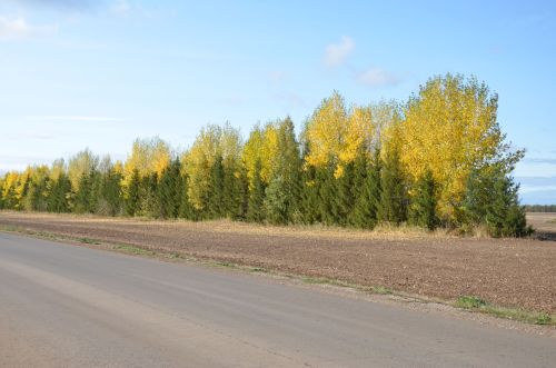 Балык Бистәсенең Керәшен Казысы авылыннан фоторепортаж