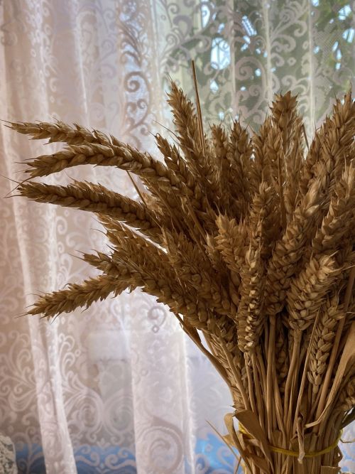 Балык Бистәсенең Керәшен Казысы авылыннан фоторепортаж