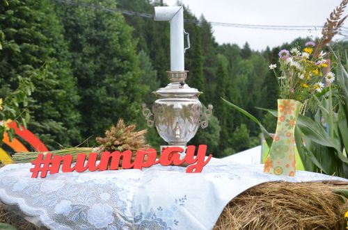 Питрау 2026