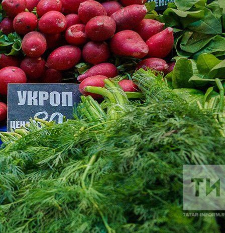 Укроп - бик күп авырудан дәва