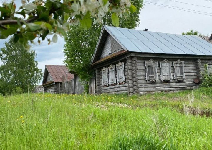 Йөрәк турысына яшеренгән сихри кач (булган хәл)