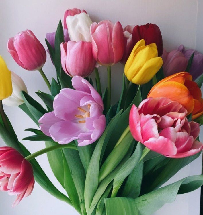 8 мартка нәрсә бүләк итәргә (идеяләр)