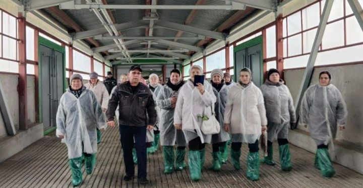 Кайбычта хезмәт ветераннары райондагы хуҗалыкта сәяхәттә булганнар
