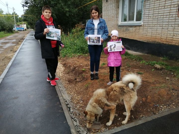 В поселке Татарстан прошла благотворительная акция ко Всемирному дню бездомных животных