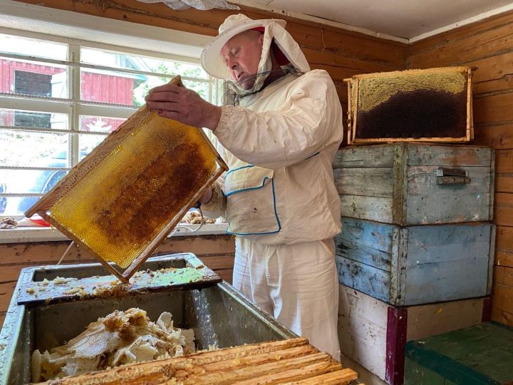 За сезон мамадышский пчеловод продает тонну меда