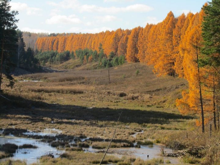 “Көзге авыл” марафоны объективында — Мамадыш районының Албай авылы