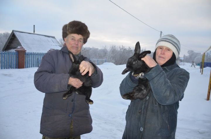 Волковы из села Кряш-Серда выращивают кроликов