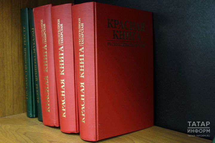 Россиянең Кызыл китабына кертелгән үсемлекләрне җыйган өчен нәрсә булачак?