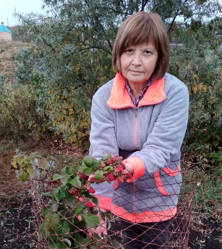 Укытучы, оста бакчачы – Нина Васильева