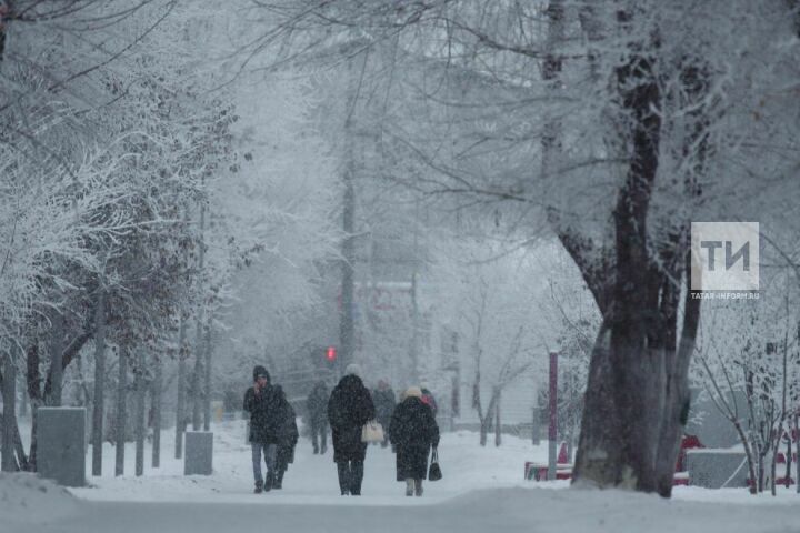 Устойчивый снежный покров в Татарстане образуется лишь к концу ноября