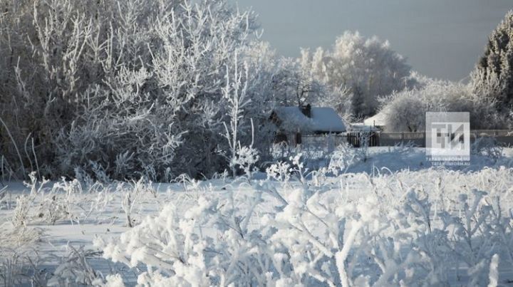 Кышкы Микула белән бәйле сынамышлар